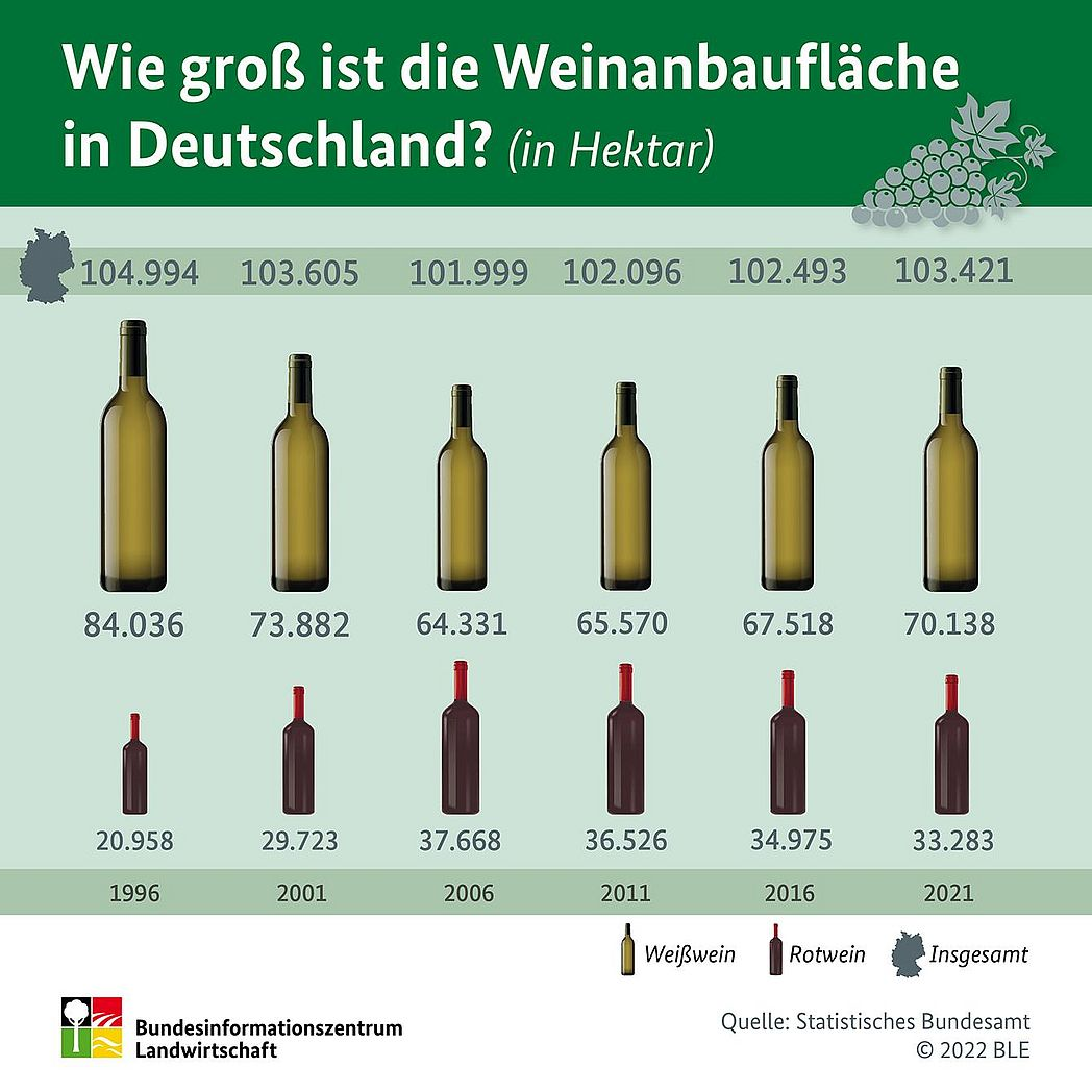 Infografik zur Weinanbaufläche in Deutschland