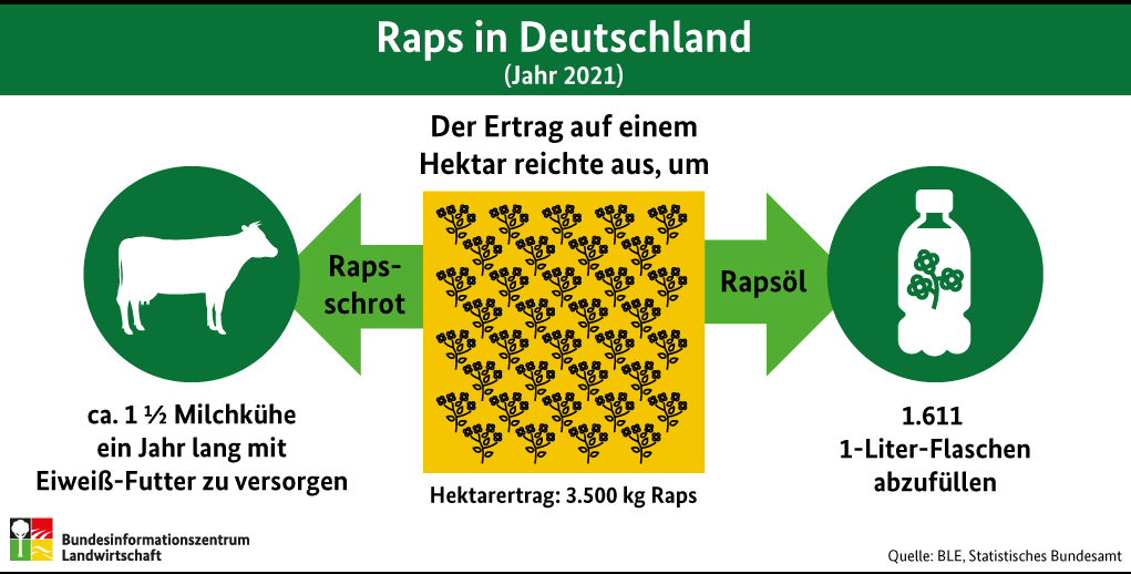 Infografik zur Nutzung von Raps in Deutschland