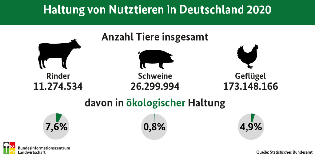 Infografik zur Haltung von Nutztieren in Deutschland