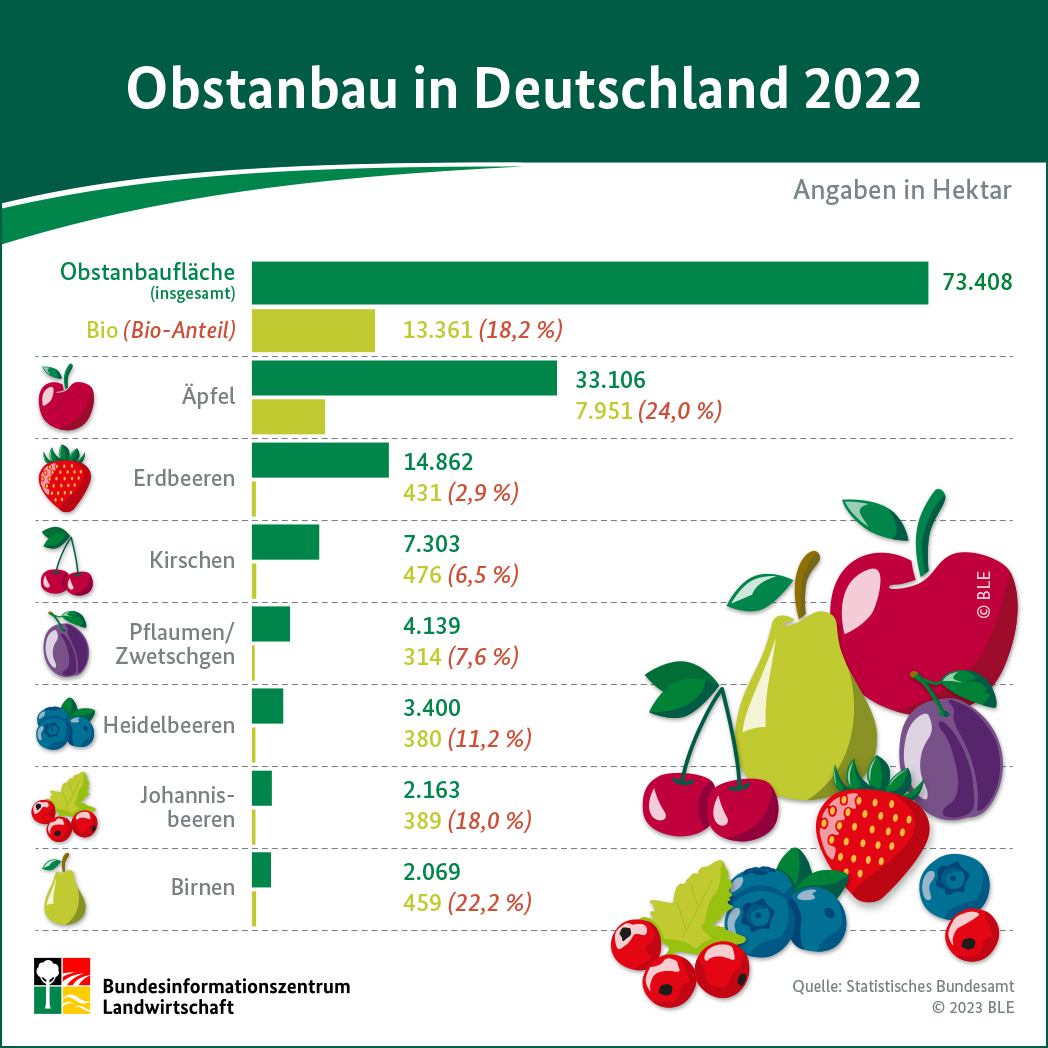 Grafik zum Obstanbau in Deutschland
