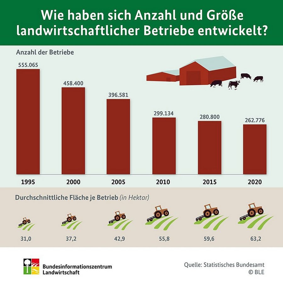 Infografik: Wie haben sich Anzahl und Größe landwirtschaftlicher Betriebe entwickelt?