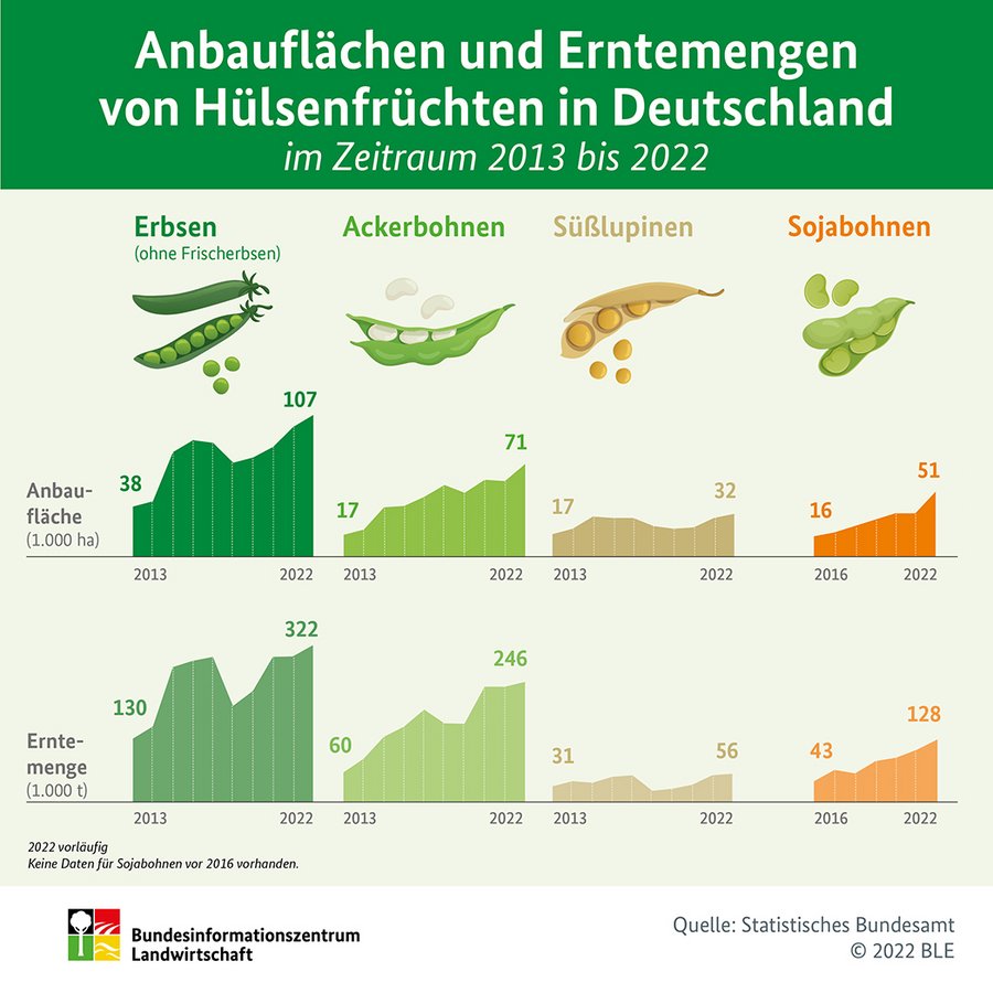Infografik zu Anbauflächen und Erntemengen von Hülsenfrüchten in Deutschland