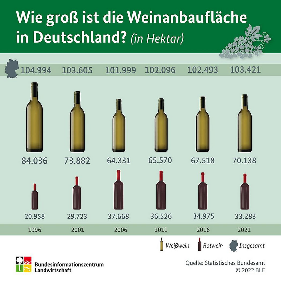 Infografik zur Weinanbaufläche in Deutschland