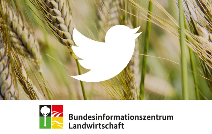 Logo des BZL-Twitterkanals