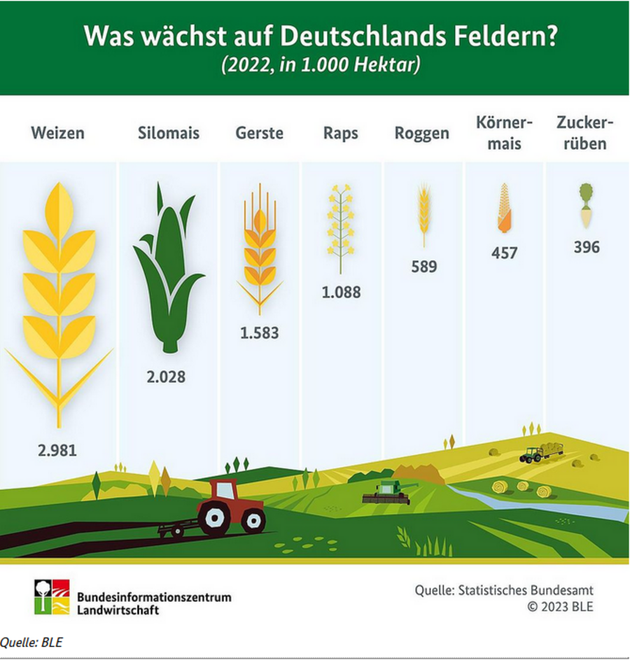 Infografik zu Anbauflächen auf Deutschlands Feldern