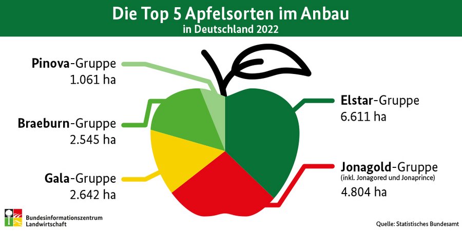 Infografik zu Apfelsorten in Deutschland